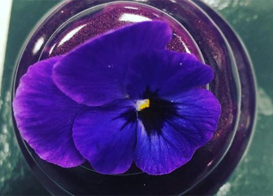 carte d'automne - nos fournisseurs