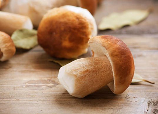 champignon - recette