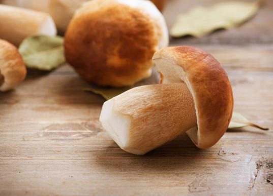 nos recettes - cèpe