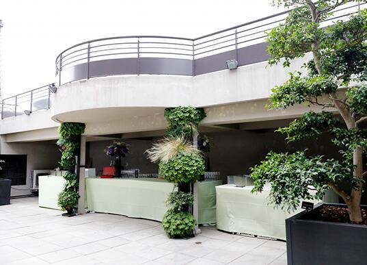 terrasse - rooftop - cocktail