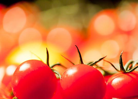 tomate - nos recettes