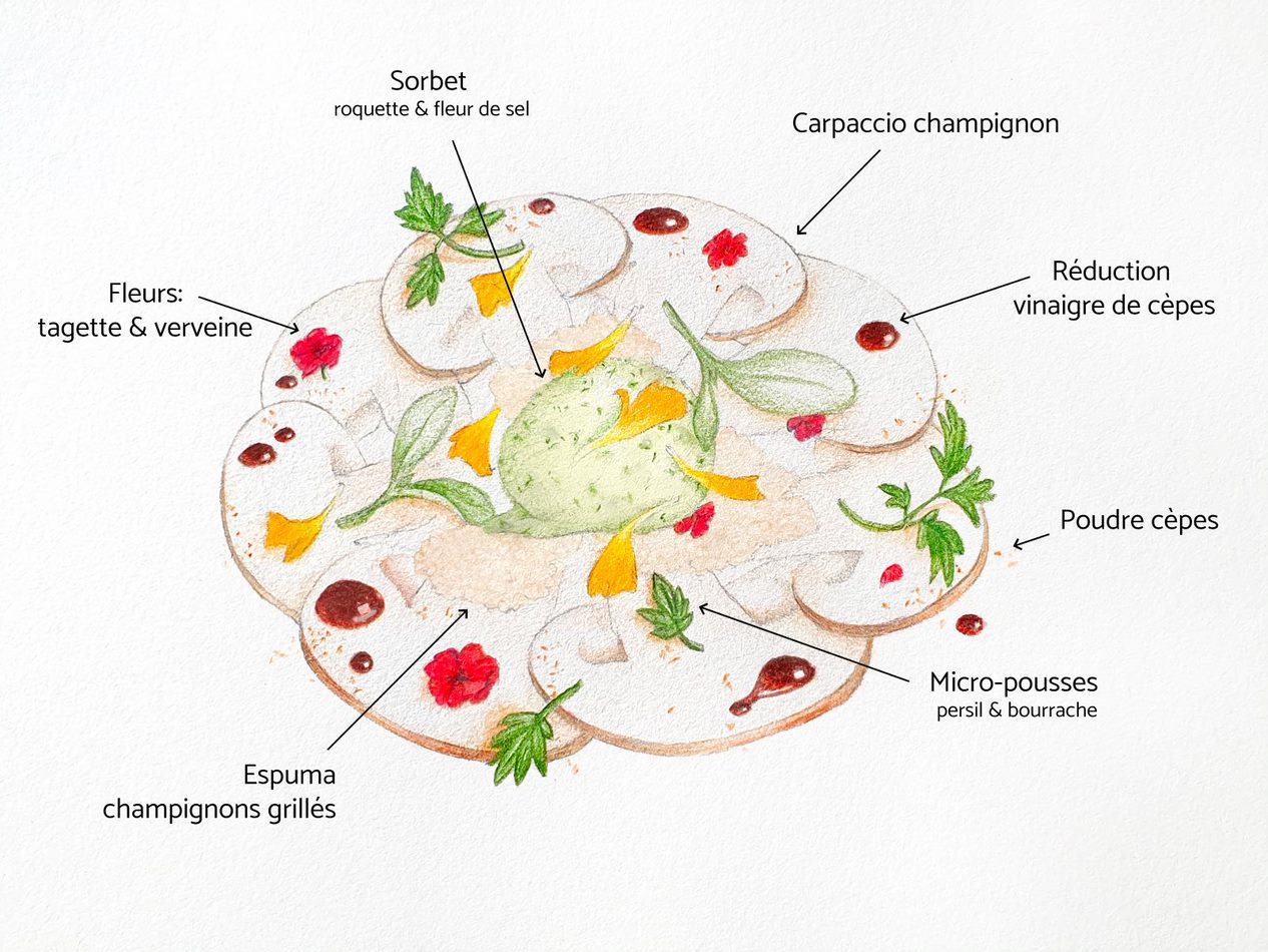 Création et design culinaire