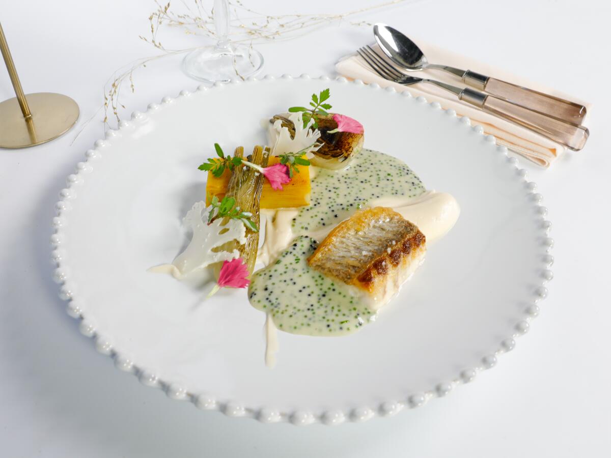 Bar de ligne- carottes au yuzu et gingembre- effeuillé de Roseval- jeunes pousses et sauce vierge (2)