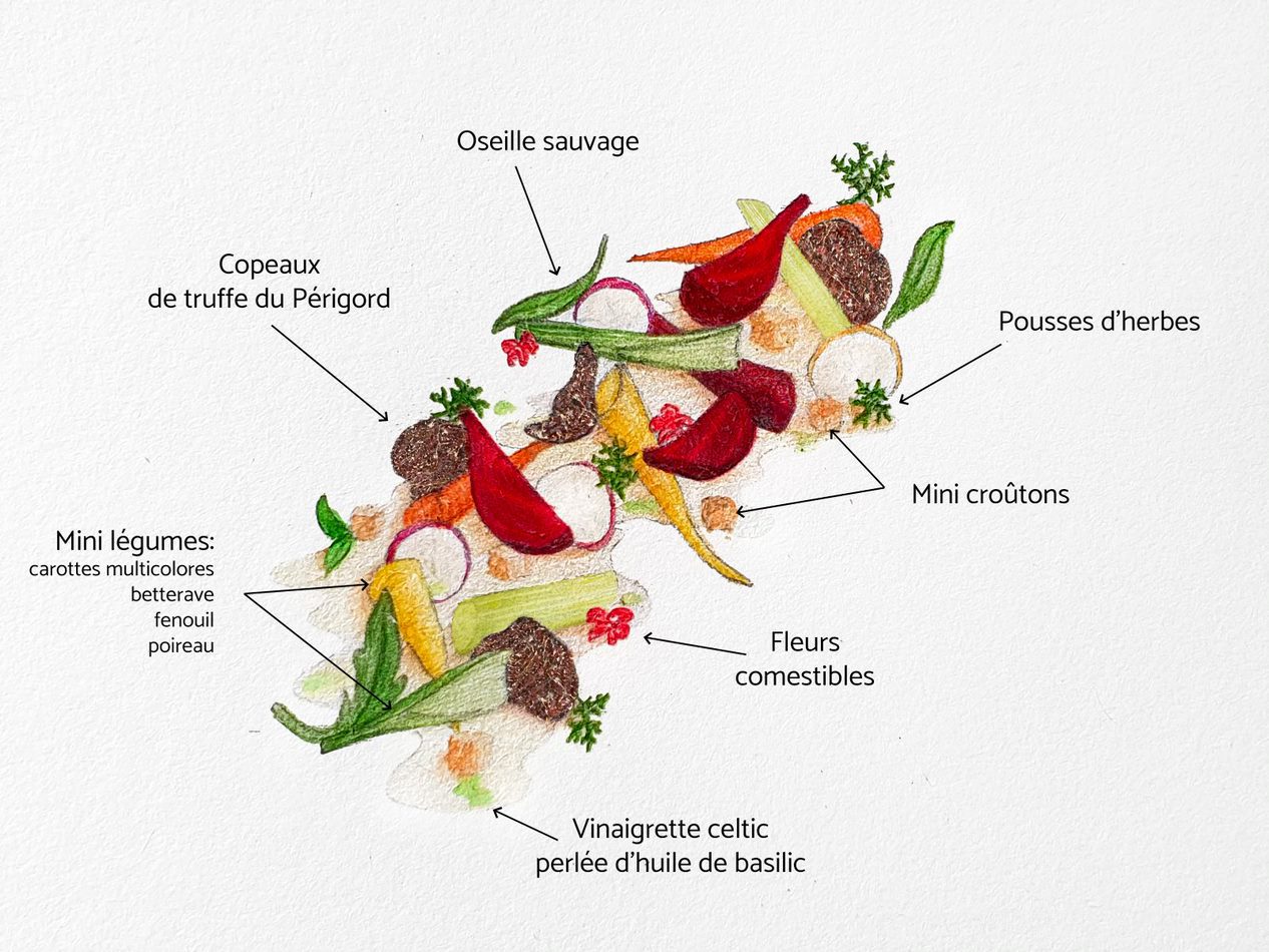 Création et design culinaire