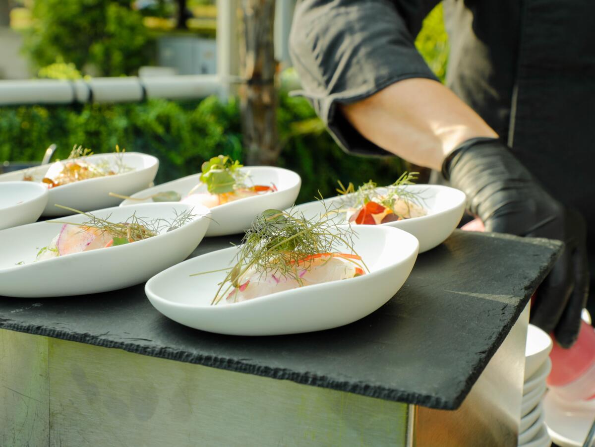 summer party comgest mademoiselle mouche