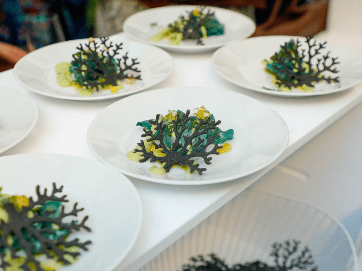 Soirée Renaissance sauvage pour PLES Convergence