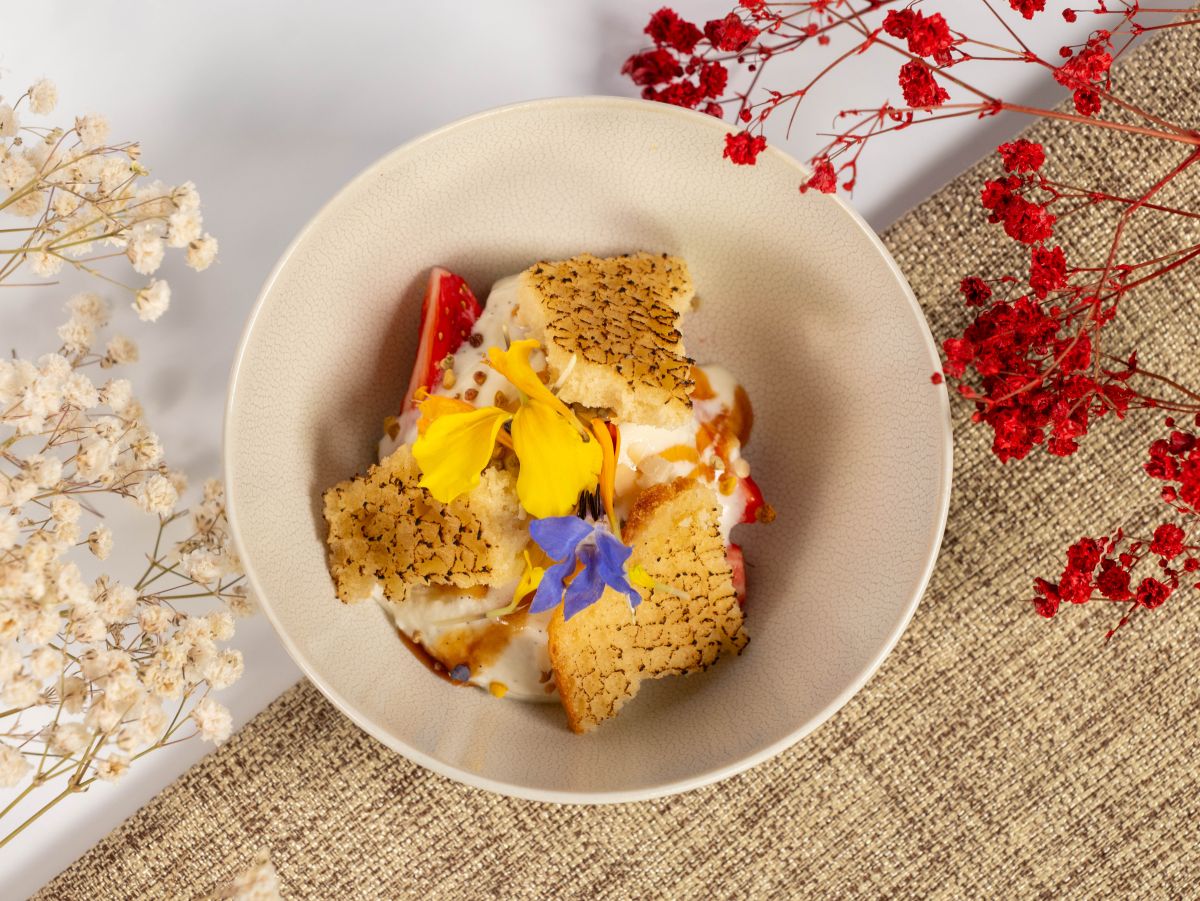 Soirée Renaissance sauvage pour PLES Convergence