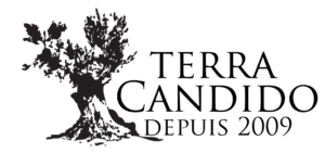 Terra Candido logo