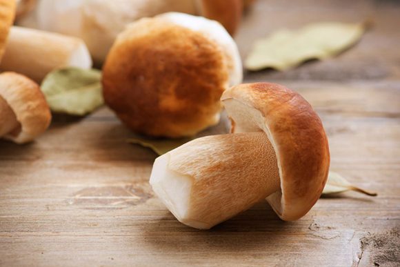 champignon - recette