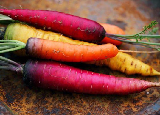 carottes - nos recettes