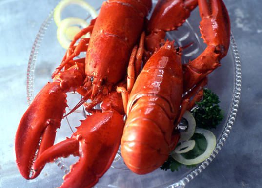 nos recettes - homard