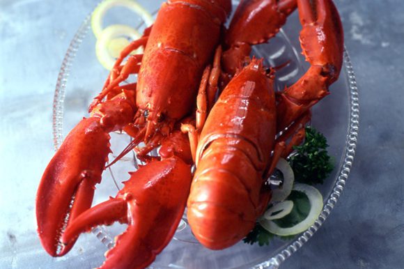 nos recettes - homard