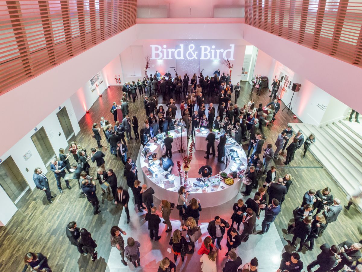 BIRD-BIRD- au Musée de l'Homme