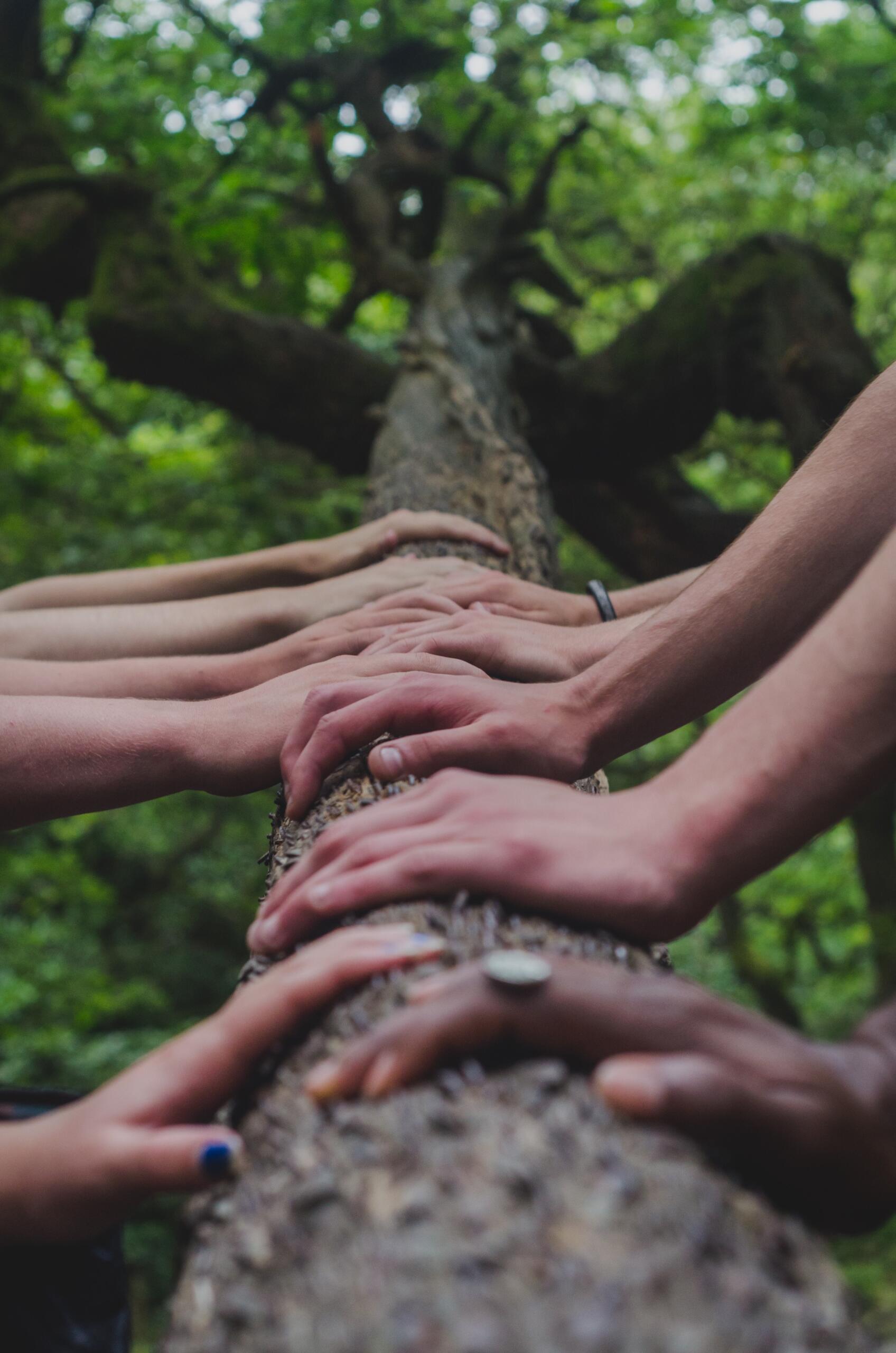 Responsabilité sociale de Trait'Tendance