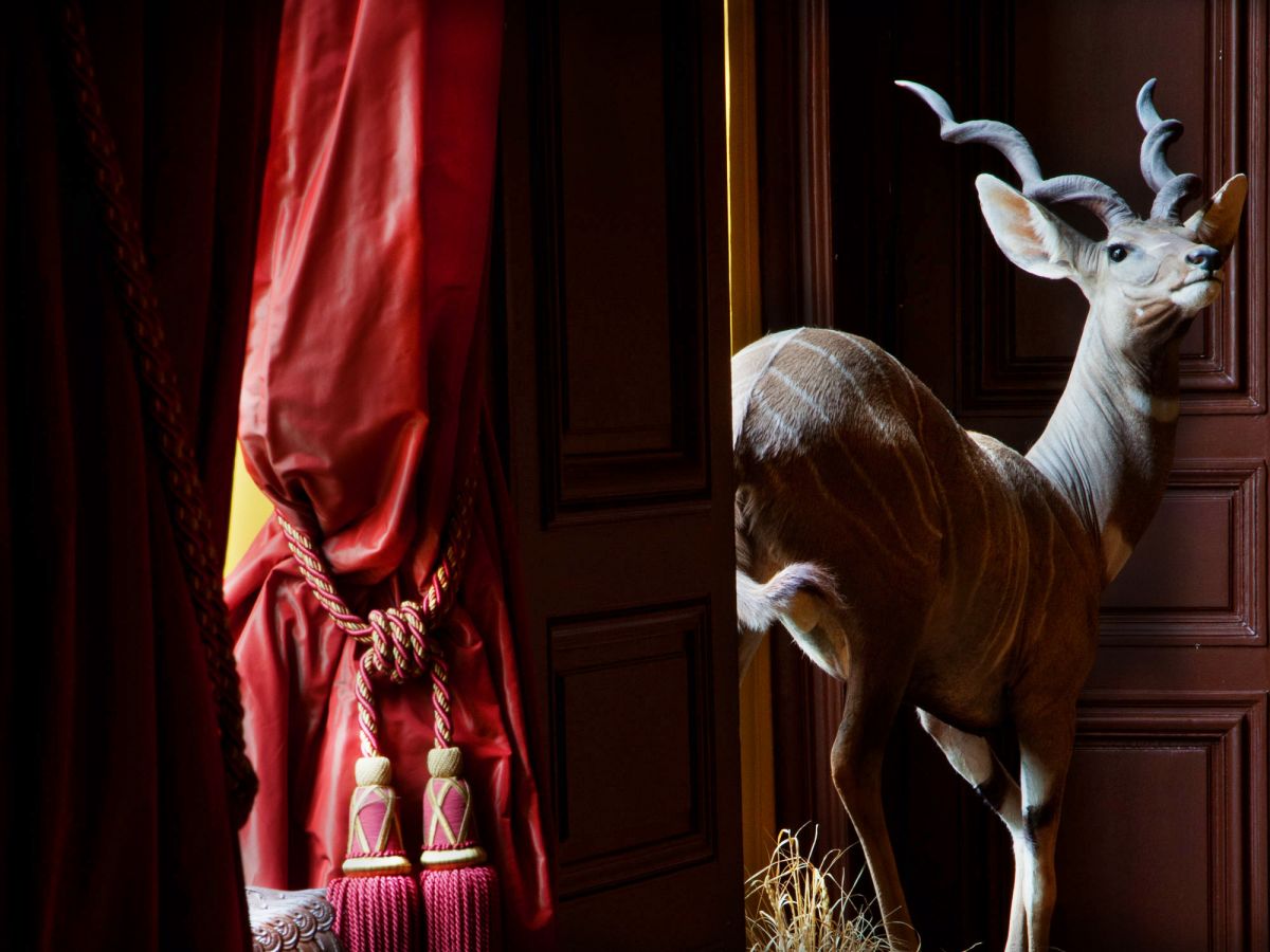 hotel de guénégaud musée de la chasse et de la nature